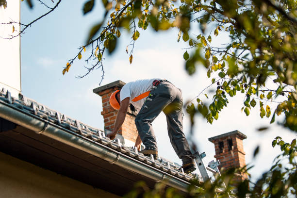 Best Best Roofing Contractors  in Crystal Lake, IL
